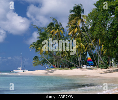 BARBADOS West Indies Caribbean St Peter Parish Gibbs Beach lined with coconut palm trees with yacht at anchor off shore Stock Photo