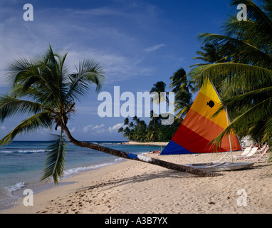BARBADOS West Indies Caribbean St Peter Parish Gibbs Beach sunfish sailboat on beach with coconut palm tree leaning over water Stock Photo