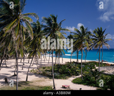 BARBADOS Caribbean West Indies St Philip Parish Sam Lords Castle Hotel beach with coconut palm trees and Atlantic Ocean beyond Stock Photo