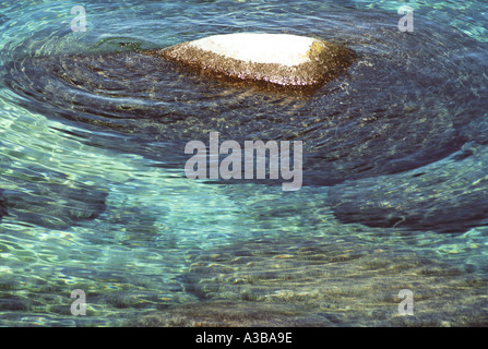 nature close up, nature concept, nature conceptual, nature background, nature abstract Stock Photo