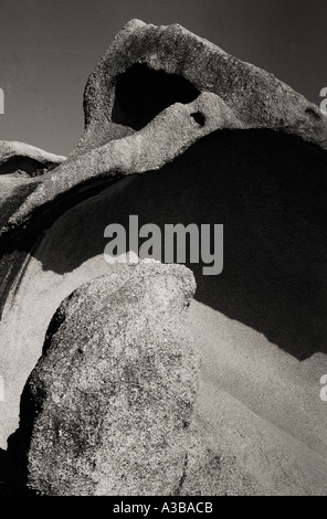 Nature black and white nature concept nature conceptual Stock Photo