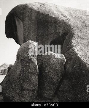 Nature black and white nature concept nature conceptual Stock Photo