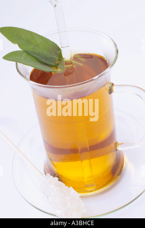 Sage tea, close-up Stock Photo