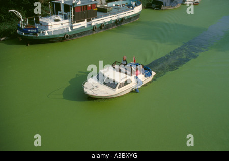 Pleasure craft cutting a path through green algae covering a river, River Ancholme, Brigg, Lincolnshire, England, UK. Stock Photo