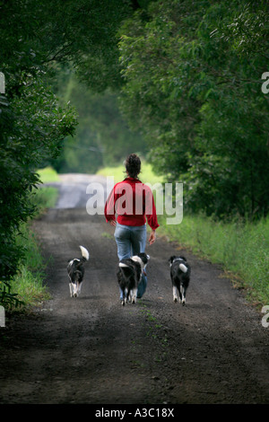 A woman walks dogs in a country lane Stock Photo