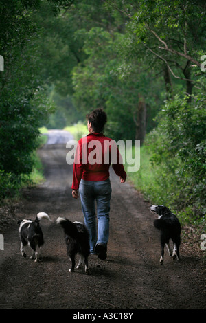 A woman walks dogs in a country lane Stock Photo