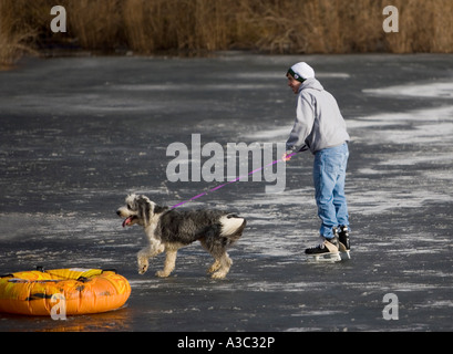 Skater and his pet dog on a frozen lake Stock Photo