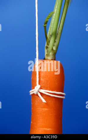 Carrot on a string Stock Photo