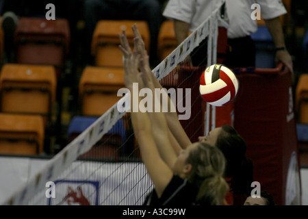 VOLLEYBALL; Stock Photo