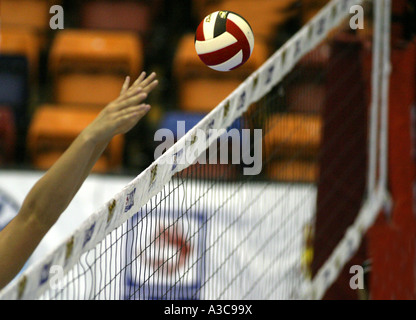 VOLLEYBALL; Stock Photo