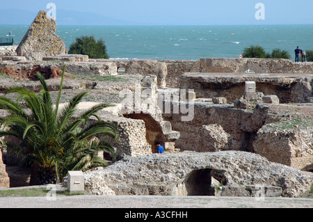 Antonine baths, Ruins of Carthage in Tunisia Stock Photo