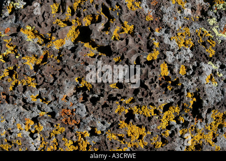 lichen on lava El Malpais National Monument New Mexico USA volcano volcanic igneous rock Pumice porous Stock Photo