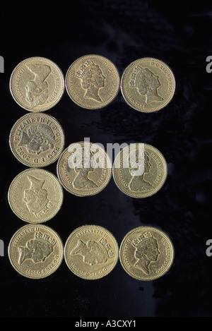 BRITISH POUND COIN FONT LETTER E ON BLACK Stock Photo