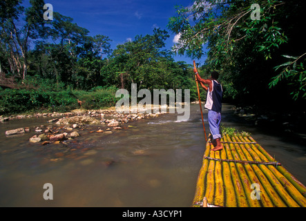 Jamaican man, adult man, tour guide, bamboo raft, bamboo raft trip, The Great River, Great River, village of Lethe, Jamaica Stock Photo