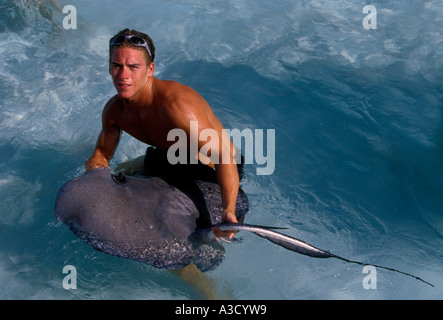 adult man holding South Atlantic Stingray, South Atlantic Stingray, Atlantic Stingray, Stingray City, Grand Cayman Island, Cayman Islands, Caribbean Stock Photo