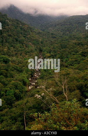 Atlantic Rainforest, Itatiaia National Park, Rio de Janeiro State, Brazil Stock Photo