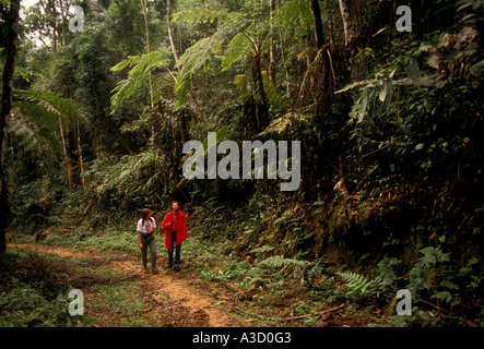 Brazilian man, Brazilian woman, couple, naturalist, hikers, hiking trail, Atlantic Rainforest, Itatiaia National Park, Rio de Janeiro State, Brazil Stock Photo