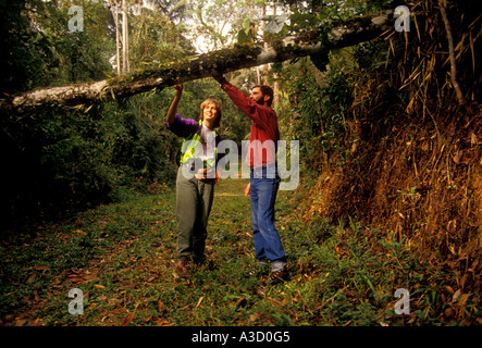 Brazilian man, Brazilian woman, couple, naturalist, hikers, hiking trail, Atlantic Rainforest, Itatiaia National Park, Rio de Janeiro State, Brazil Stock Photo