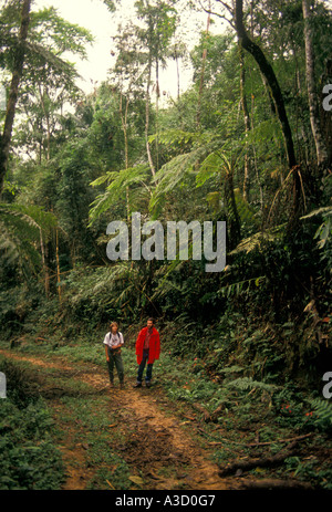 Brazilian man, Brazilian woman, couple, naturalist, hikers, hiking trail, Atlantic Rainforest, Itatiaia National Park, Rio de Janeiro State, Brazil Stock Photo