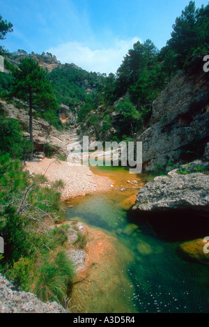 Ulldemo River and Pine Trees. Teruel Province. Spain Stock Photo