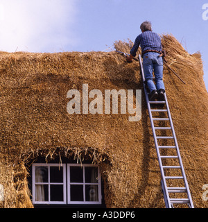 Download Workman with ladder on the exterior of an old tudor ...