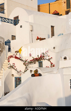 Houses in the typical cycladic architecture, Oia, Santorini, Greece Stock Photo