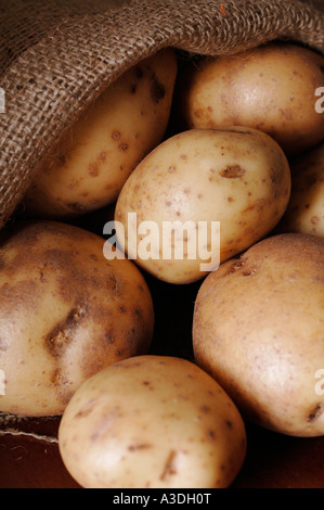 King Edward potatoes spilling from sack Stock Photo