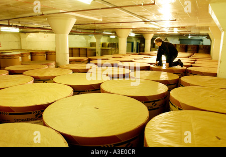 A newspaper printer with reels of newsprint paper which will be used for printing the Brighton Argus in Sussex England. Stock Photo