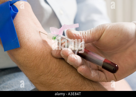 Collecting blood sample for blood test.Drawing blood. Stock Photo