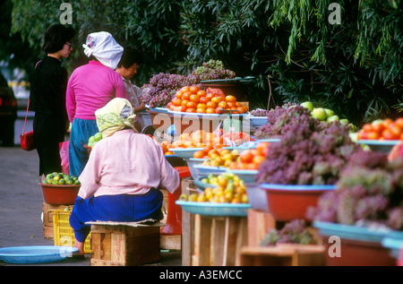 Chejudo cheju island south korea south korea asia asian oriental travel lifestyle destination holiday fruit selling consume smal Stock Photo