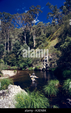 Fly fishing for trout Howqua River near Mansfield Victorian Alps NE Victoria Australia vertical  Stock Photo