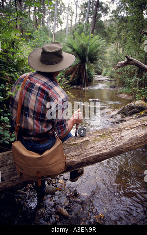 Fly fishing for trout Howqua River near Merrijig Victorian Alps NE Victoria Australia vertical  Stock Photo