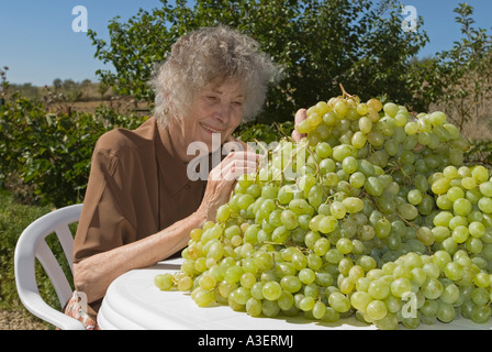 Grape orchardist in Spain Stock Photo