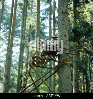 Hunter looking with binoculars on high seat, raised hide, Vosges Mountains forest, Alsace, France, Europe Stock Photo