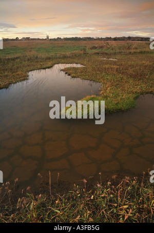 Cley Windmill across the marshes on the north Norfolk coast of England UK Stock Photo