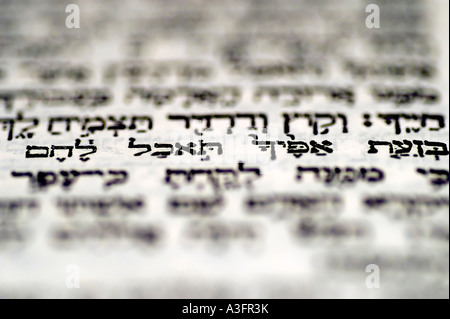 Genesis 3 19: "in the sweat face shalt thou bread" a close up of the Hebrew text in The of Genesis chapter 3 with this one passage in