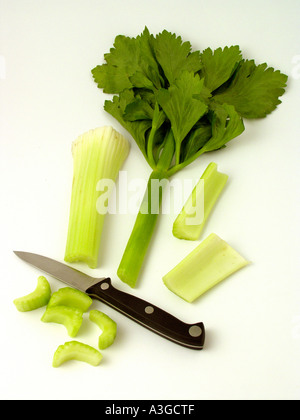 Celery Stock Photo