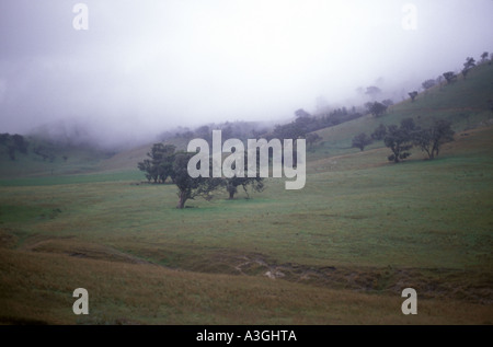 Scene of rural New South Wales from the highway between Sydney and Melbourne Stock Photo