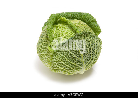 Savoy cabbage isolated on a white studio background. Stock Photo