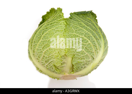 Savoy cabbage on a white studio background. Stock Photo
