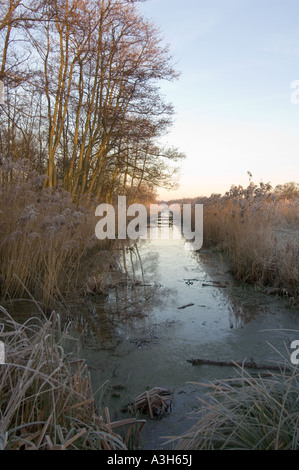 Marshes in winter at Woodbastwick, Norfolk Broads, East Anglia, UK Stock Photo