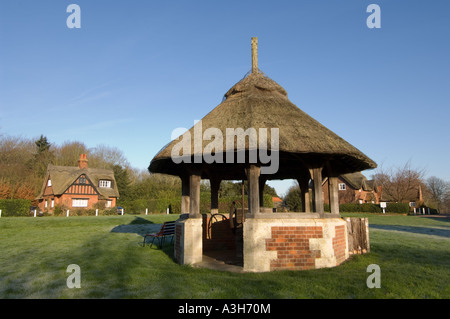 Woodbastwick village green, Norfolk Broads, East Anglia, UK Stock Photo