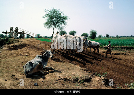 water irrigation system state of tamilnadu india Stock Photo - Alamy