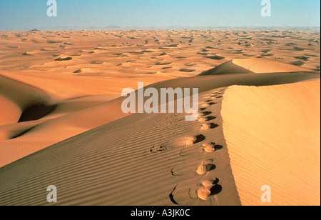 footprints of camel region of tenere sahara desert niger Stock Photo