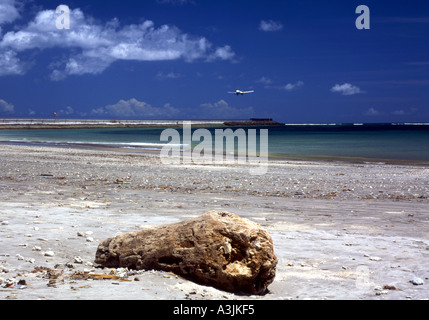 driftwood on the white sands of kuta beach aircraft landing behind at ngurah rai airport bali indonesia Stock Photo