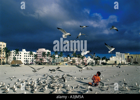 historic picture year of 1987 seagulls city of miami beach quarter of south beach state of florida usa Stock Photo