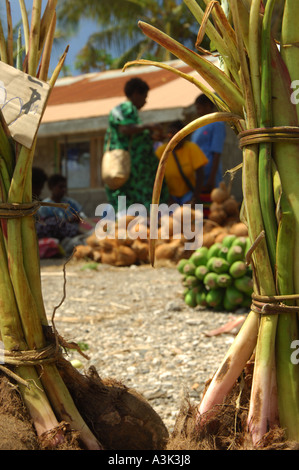 Walking around the market in Lenakel on Tanna island in Vanuatu in the South Pacific Stock Photo