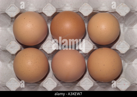 Six brown chicken eggs in their package Stock Photo