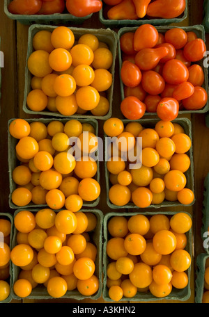 Cartons of yellow and red cherry tomatoes at a local farmer s market Eugene Oregon USA Stock Photo