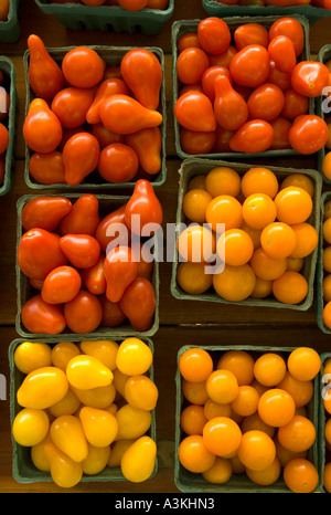 Cartons of yellow orange and red cherry tomatoes at a local farmer s market Eugene Oregon USA Stock Photo